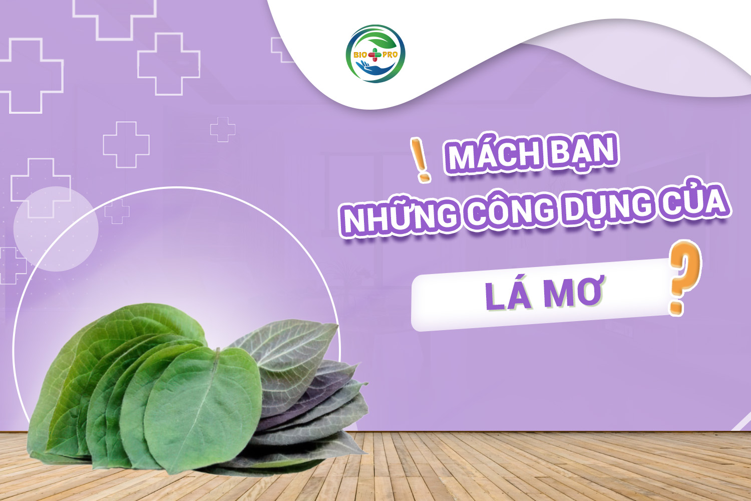 Mách bạn những công dụng của lá mơ không phải ai cũng biết