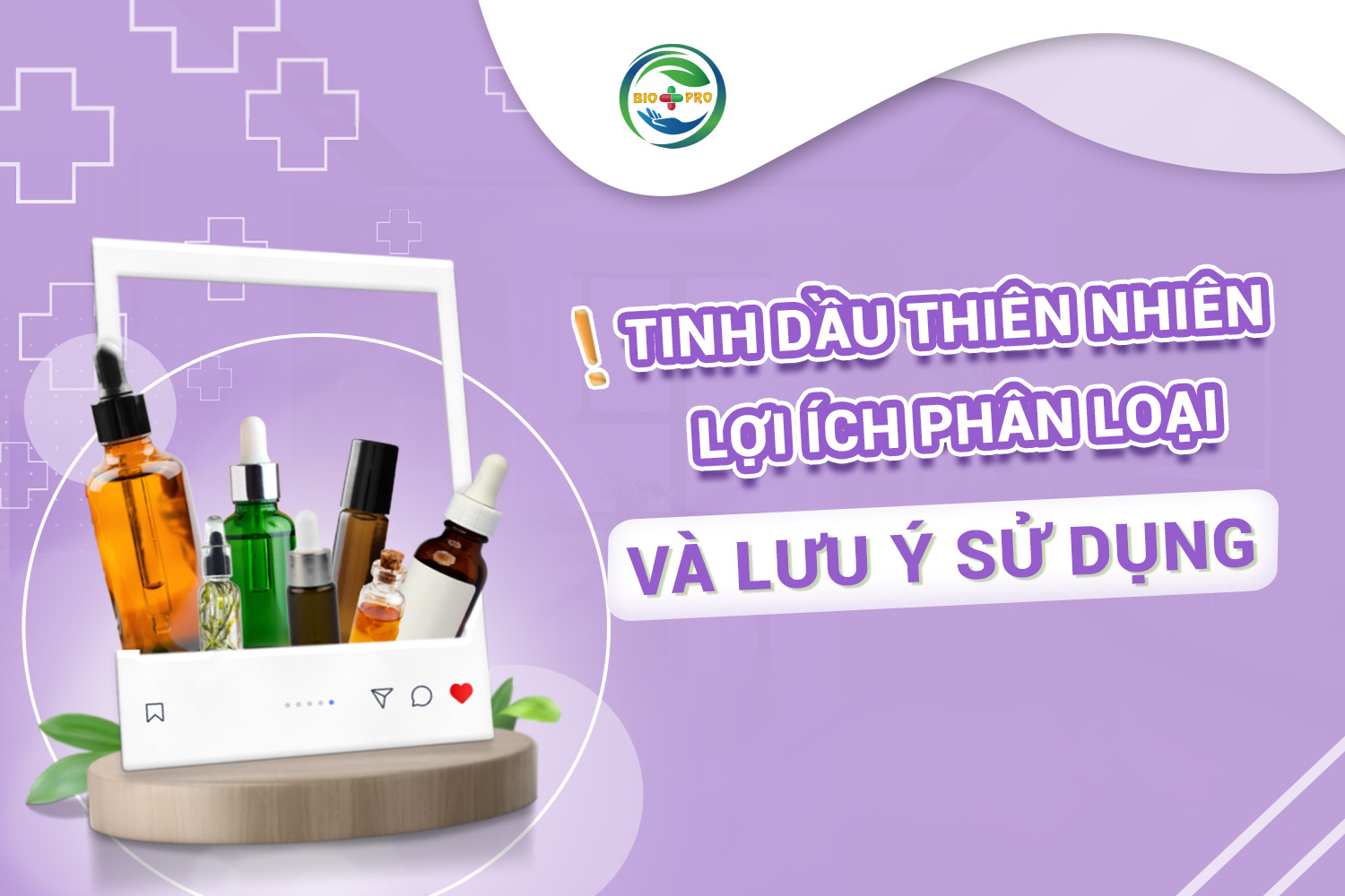 Tinh dầu thiên nhiên: lợi ích, phân loại và lưu ý khi sử dụng