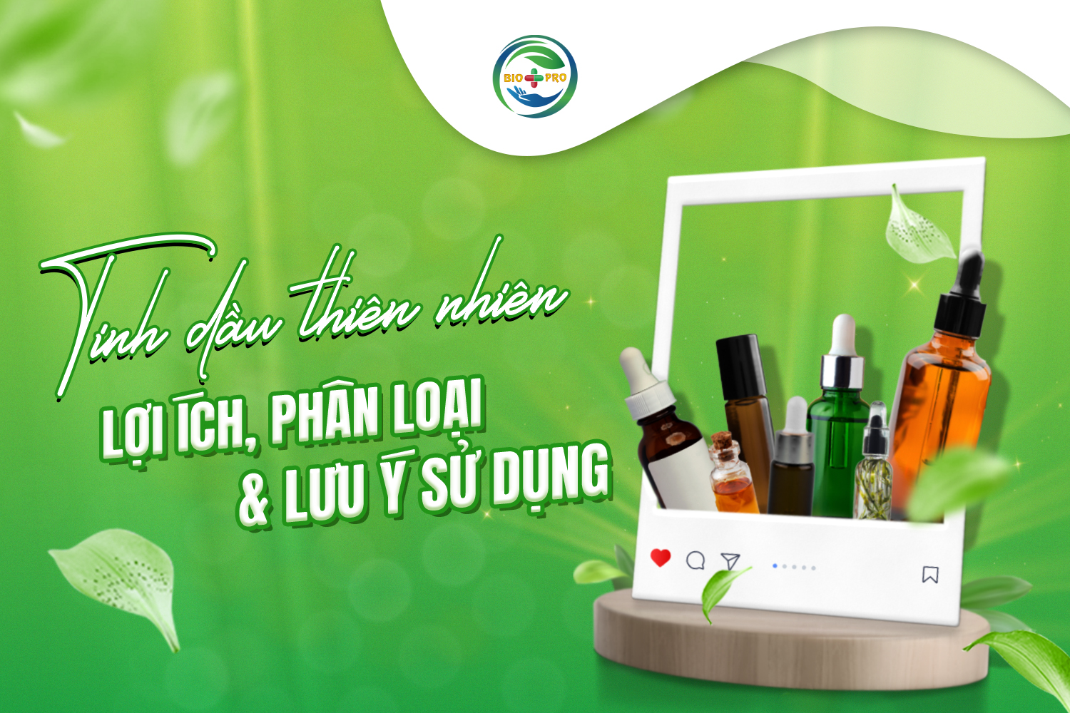 Tinh dầu thiên nhiên: lợi ích, phân loại và lưu ý khi sử dụng Tinh dầu thiên nhiên: lợi ích, phân loại và lưu ý khi sử dụng