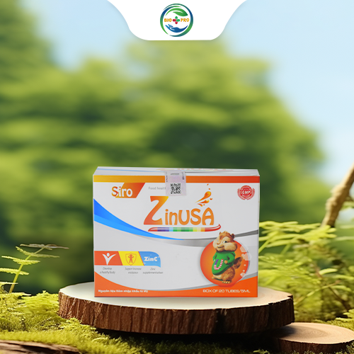 ZINUSA