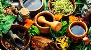 cách bảo quản dược liệu đúng cách