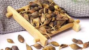 Ké đầu ngựa - Giảm mẩn ngứa, mụn nhọt Ké đầu ngựa