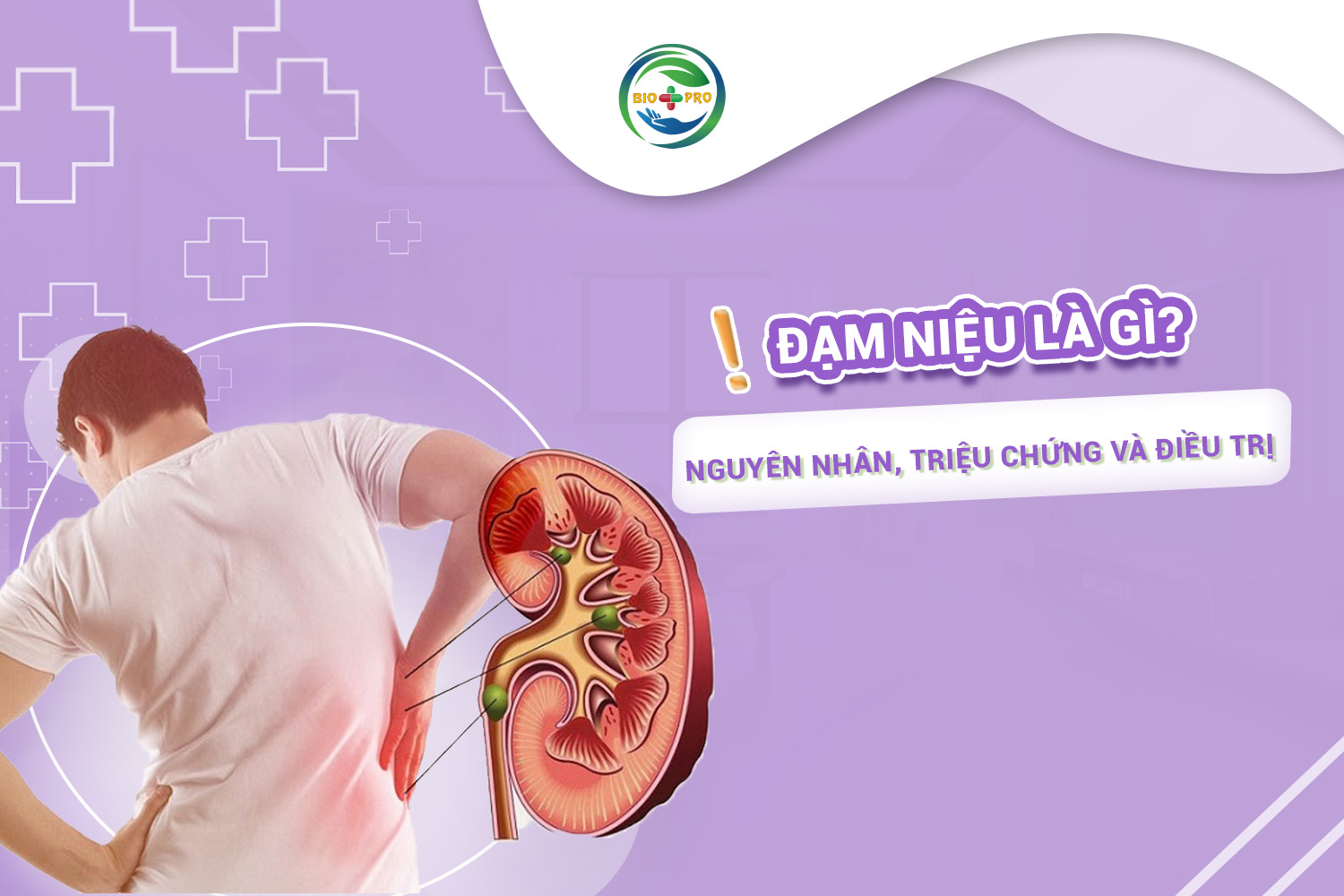 Đạm niệu là gì? Nguyên nhân, triệu chứng và điều trị