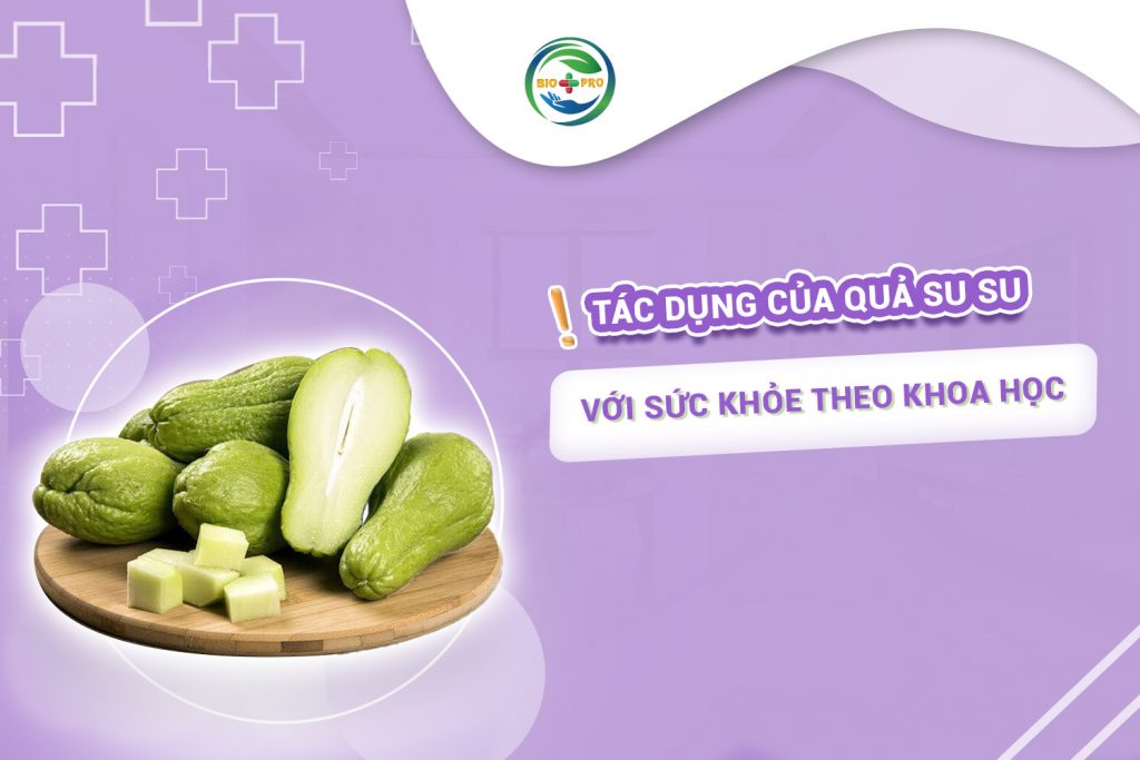 Tác dụng của quả su su với sức khỏe theo khoa học