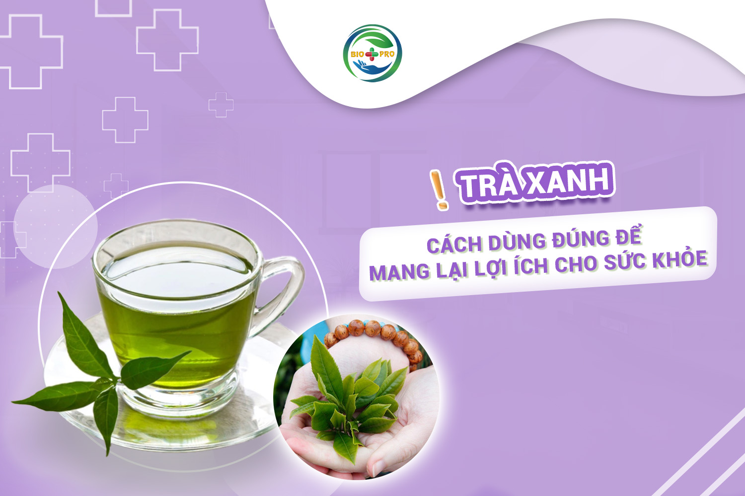 Trà xanh - cách dùng đúng để mang lại lợi ích cho sức khỏe