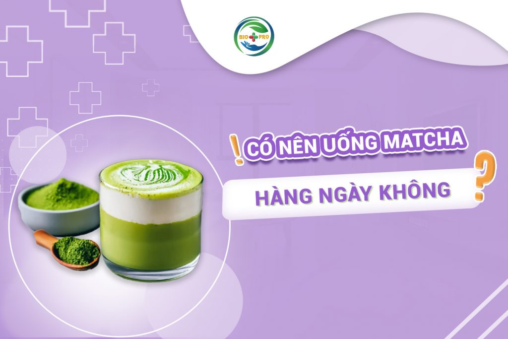 Có nên uống matcha hàng ngày không?
