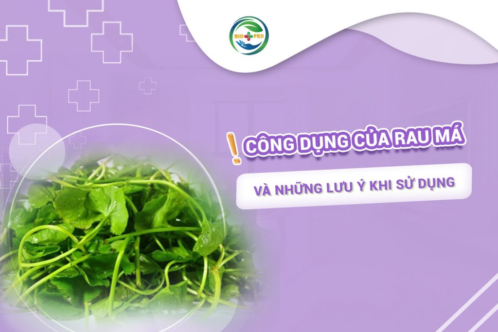 BIO cong cu cua rau ma va nhung luu y khi su dung 1