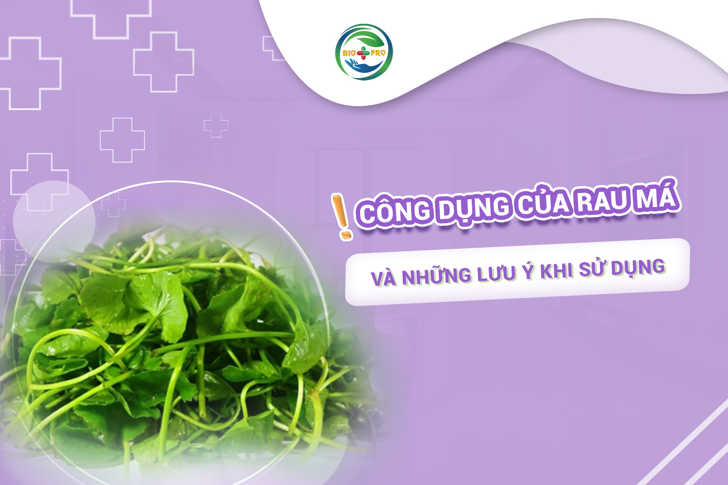 BIO cong cu cua rau ma va nhung luu y khi su dung 1