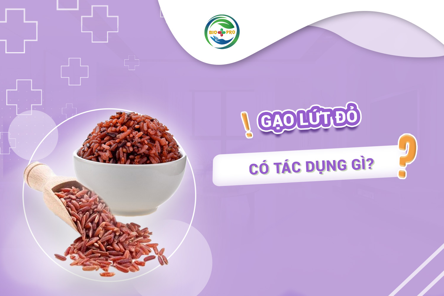 Gạo lứt đỏ có tác dụng gì?