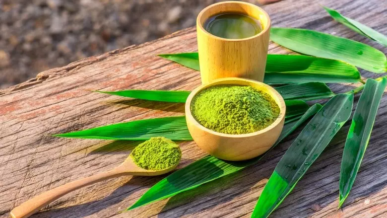 Có nên uống matcha hàng ngày không? Matcha chứa nhiều hợp chất thực vật có lợi cho sức khỏe