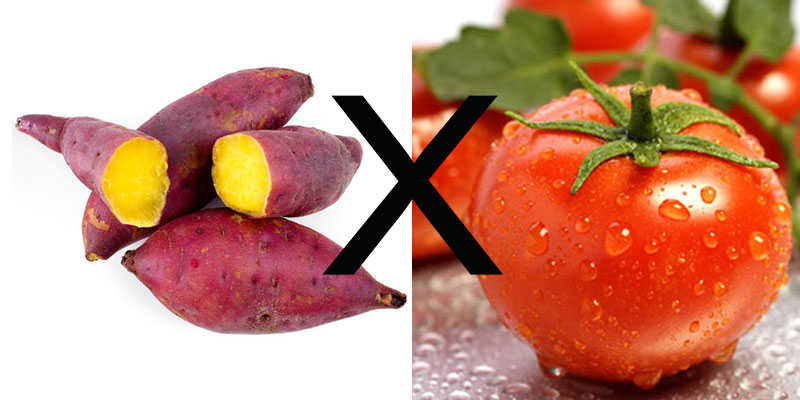 Không ăn cà chua chung với khoai lang vì chúng có thể khiến bạn bị đau bụng