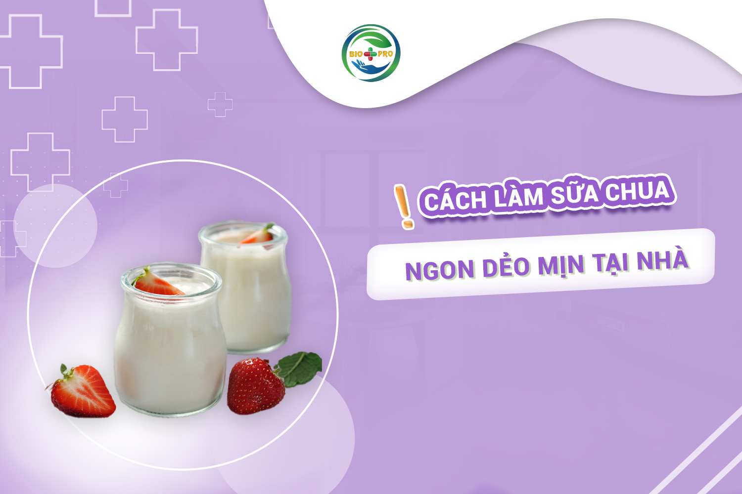 Tổng hợp cách làm sữa chua ngon, dẻo mịn tại nhà