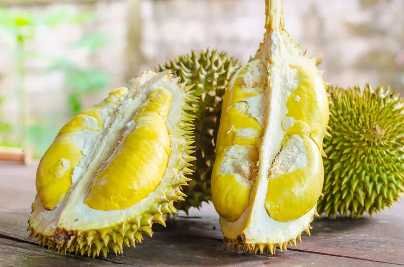 Bà bầu ăn sầu riêng được không? Tác hại khi ăn không đúng cách Ăn sầu riêng quá nhiều không tốt cho sức khỏe