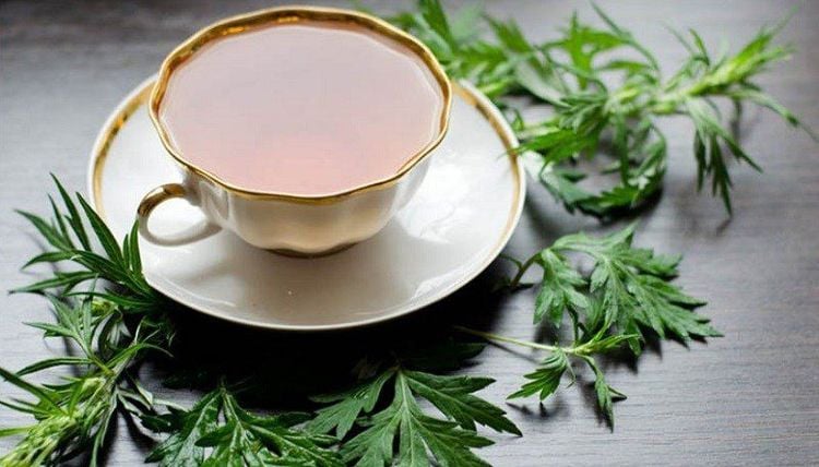 Ngải cứu - cứu tinh cho chị em mùa rụng dâu tra ngai cuu
