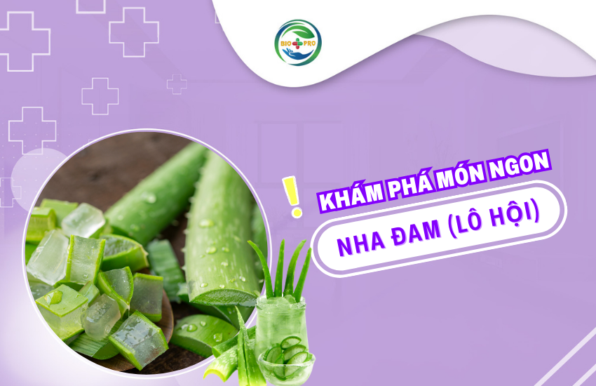 Khám Phá 5 Món Ngon Từ Nha Đam Dễ Làm Tại Nhà Khám Phá 5 Món Ngon Từ Nha Đam Dễ Làm Tại Nhà