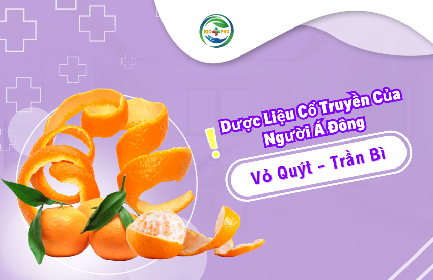 Avatar web vo quyt tran bi