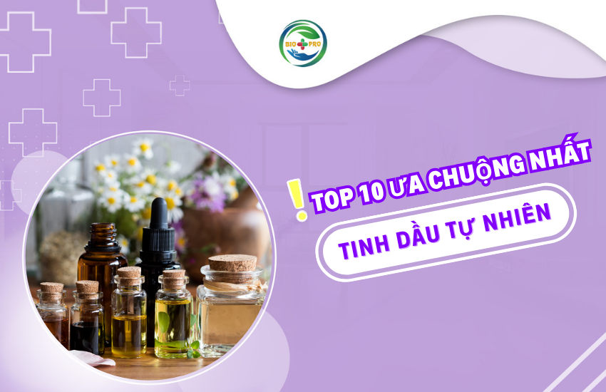 Top 10 Loại Tinh Dầu Thiên Nhiên Được Ưa Chuộng Nhất Hiện Nay Và Cách Chọn Mua An Toàn