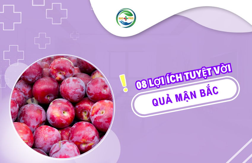 Avatar web nen tim 08 loi ich tuyet voi qua man