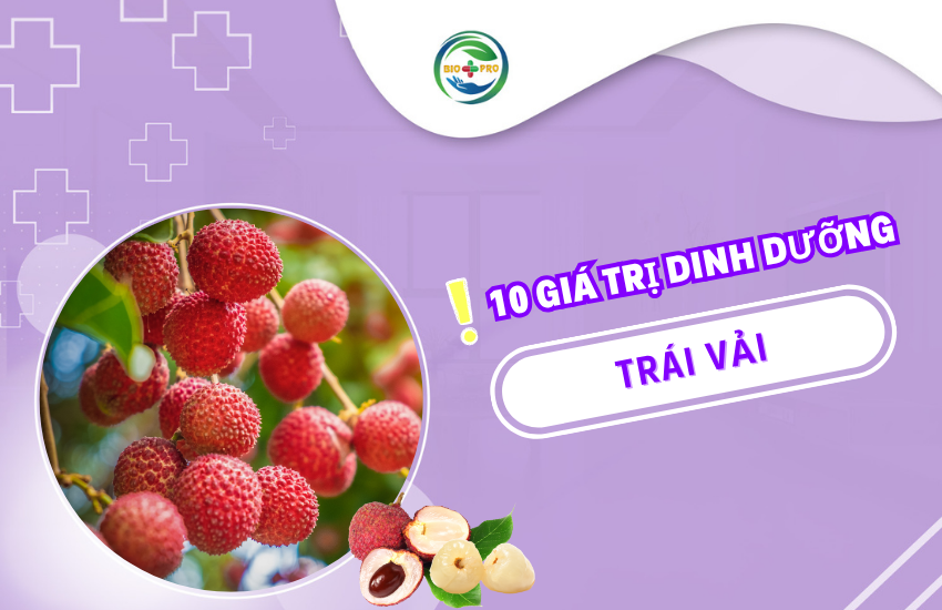 10 Giá trị dinh dưỡng trong trái vải bạn không nên bỏ qua Giá trị dinh dưỡng từ trái vải