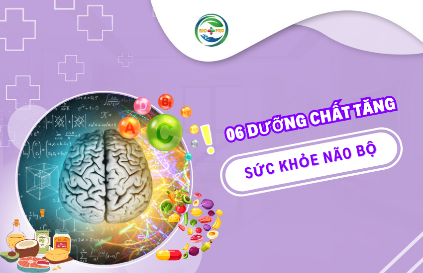 6 dưỡng chất tăng cường sức khỏe não bộ và nguồn thực phẩm giàu dưỡng chất này