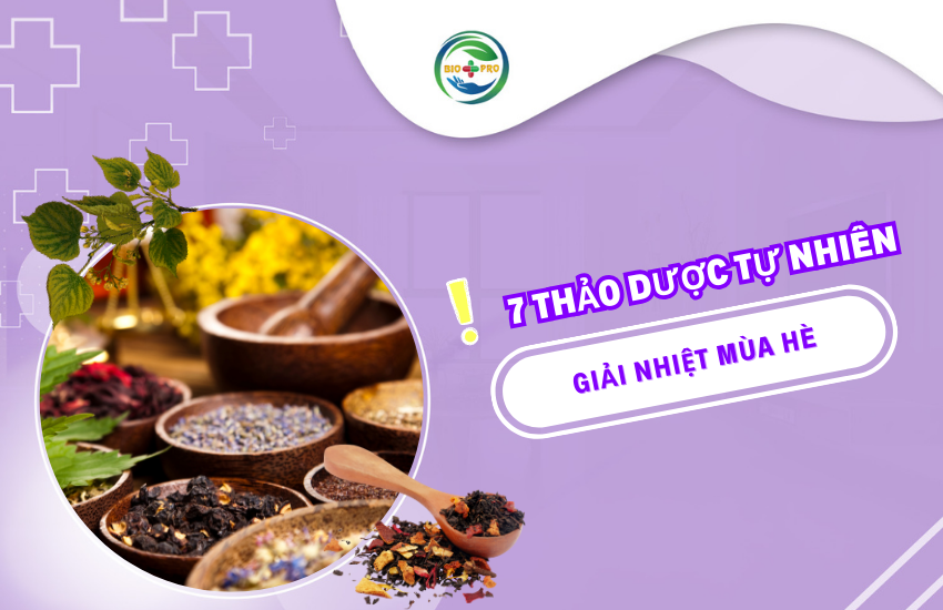 7 loại thảo dược tự nhiên giải nhiệt mùa hè tốt cho sức khỏe