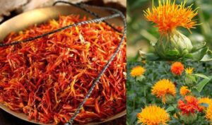 Hồng hoa là vị thuốc đa năng, giúp hoạt huyết, điều kinh, giảm đau do huyết ứ, hỗ trợ điều trị nám, bổ huyết, chăm sóc tóc da.