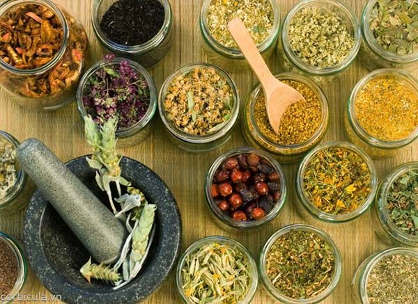 khám phá 5 bài thuốc ngâm chân Đông y tại nhà vừa đơn giản, vừa an toàn giúp bạn thư giãn sâu, ngủ ngon hơn và giảm nhanh các cơn đau mỏi hiệu quả mỗi ngày
